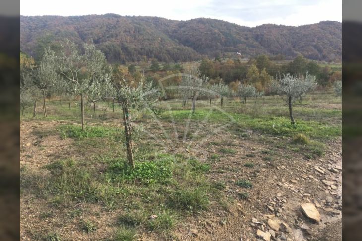 Poljoprivredno zemljište, Prodaja, Cerovlje, Previž Poljoprivredno zemljište, Prodaja, Cerovlje, Previž