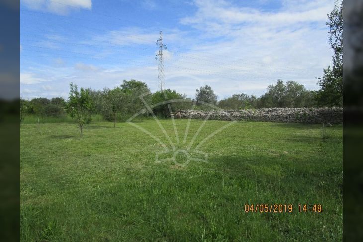 Poljoprivredno zemljište, Prodaja, Vodnjan, Peroj Poljoprivredno zemljište, Prodaja, Vodnjan, Peroj