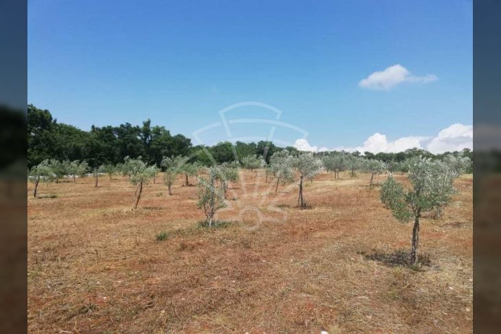 Zemljište - ostalo, Prodaja, Rovinj, Rovinjsko Selo Zemljište - ostalo, Prodaja, Rovinj, Rovinjsko Selo