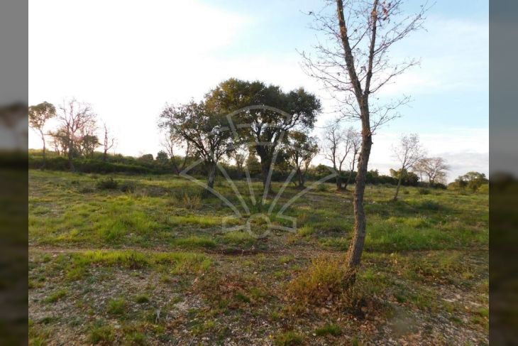 Poljoprivredno zemljište, Prodaja, Pula, Pula Poljoprivredno zemljište, Prodaja, Pula, Pula