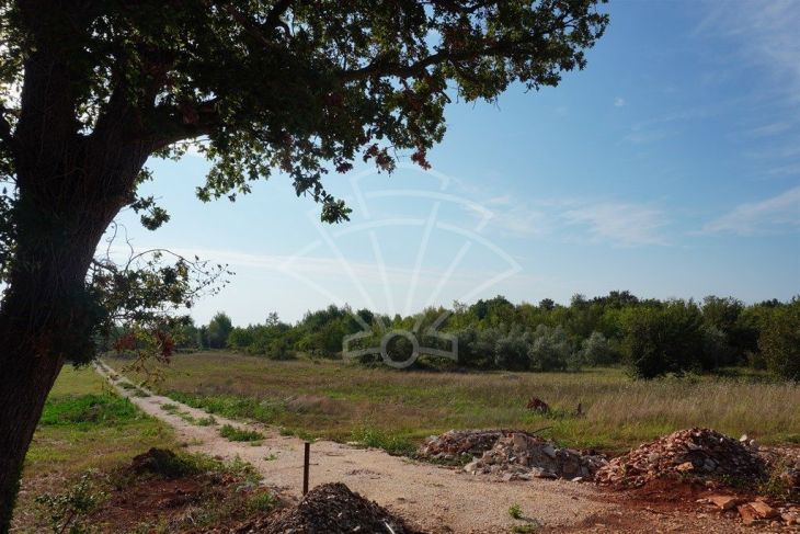 Poljoprivredno zemljište, Prodaja, Ližnjan, Šišan Poljoprivredno zemljište, Prodaja, Ližnjan, Šišan