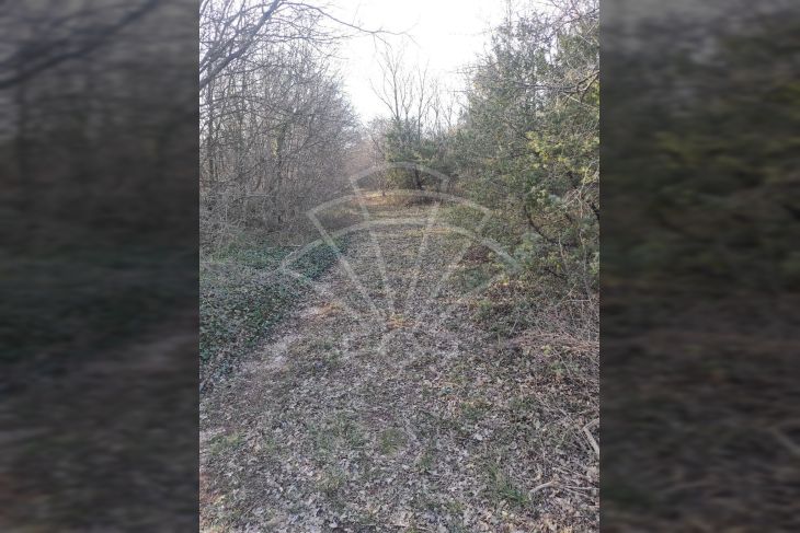 Poljoprivredno zemljište, Prodaja, Barban, Hrboki Poljoprivredno zemljište, Prodaja, Barban, Hrboki