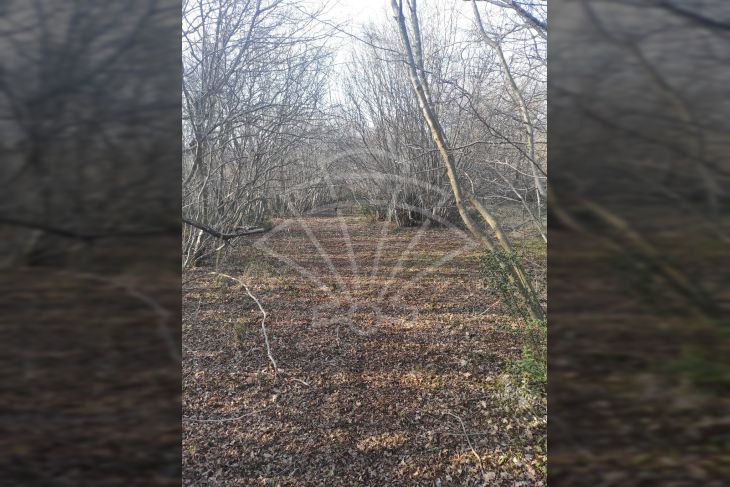 Poljoprivredno zemljište, Prodaja, Barban, Hrboki Poljoprivredno zemljište, Prodaja, Barban, Hrboki
