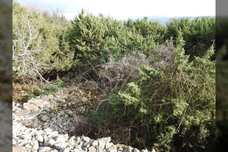 Poljoprivredno zemljište, Prodaja, Krk, Krk Poljoprivredno zemljište, Prodaja, Krk, Krk