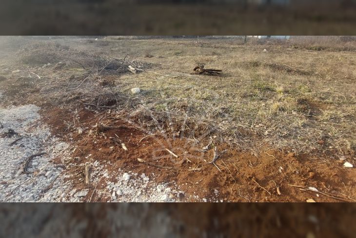 Građevinsko zemljište, Prodaja, Poreč, Baderna Građevinsko zemljište, Prodaja, Poreč, Baderna