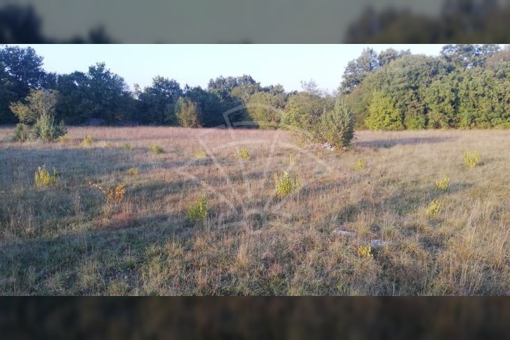 Poljoprivredno zemljište, Prodaja, Marčana, Divšići Poljoprivredno zemljište, Prodaja, Marčana, Divšići