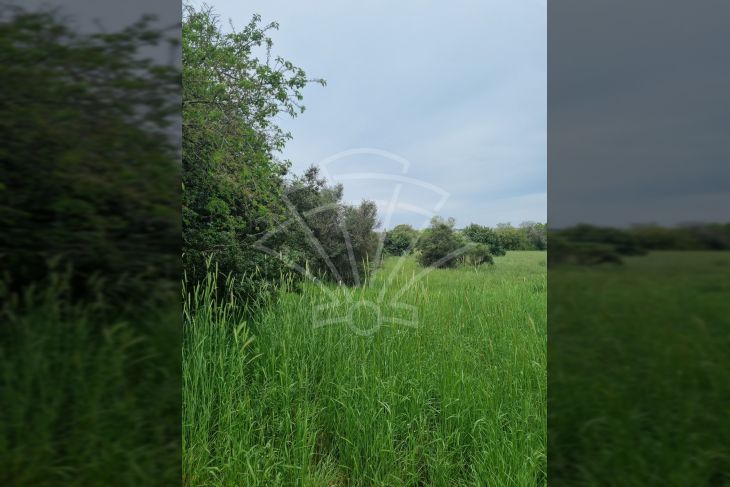 Građevinsko zemljište, Prodaja, Pula, Pula Građevinsko zemljište, Prodaja, Pula, Pula
