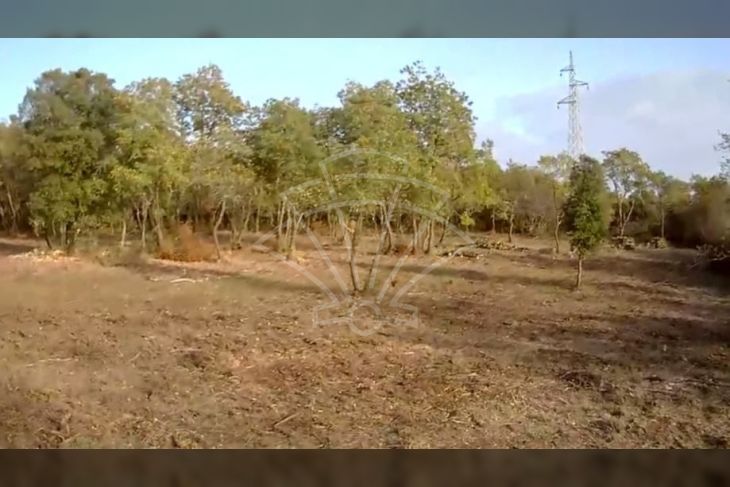 Poljoprivredno zemljište, Prodaja, Fažana, Fažana Poljoprivredno zemljište, Prodaja, Fažana, Fažana