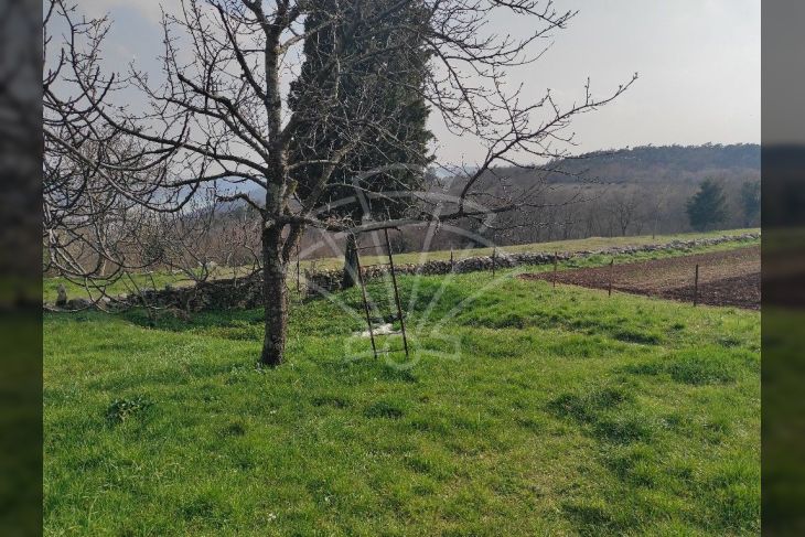 Građevinsko zemljište, Prodaja, Barban, Puntera Građevinsko zemljište, Prodaja, Barban, Puntera