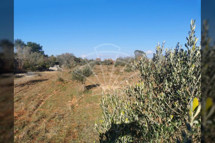 Poljoprivredno zemljište, Prodaja, Fažana, Fažana Poljoprivredno zemljište, Prodaja, Fažana, Fažana
