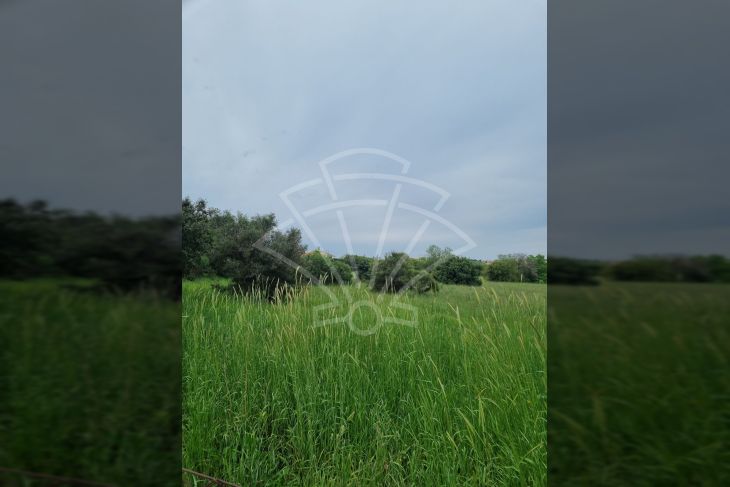 Građevinsko zemljište, Prodaja, Pula, Pula Građevinsko zemljište, Prodaja, Pula, Pula