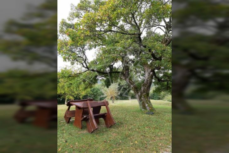 Samostojeća kuća, Prodaja, Buzet, Čiritež Samostojeća kuća, Prodaja, Buzet, Čiritež