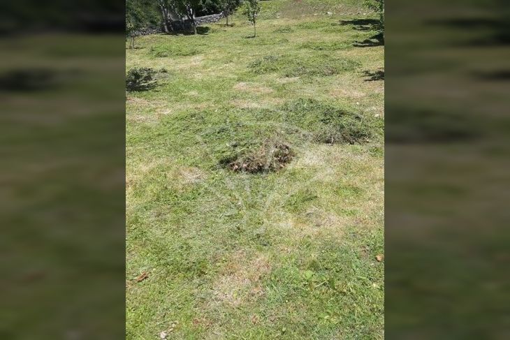Građevinsko stambeno zemljište, Prodaja, Vinodolska općina, Tribalj Građevinsko stambeno zemljište, Prodaja, Vinodolska općina, Tribalj