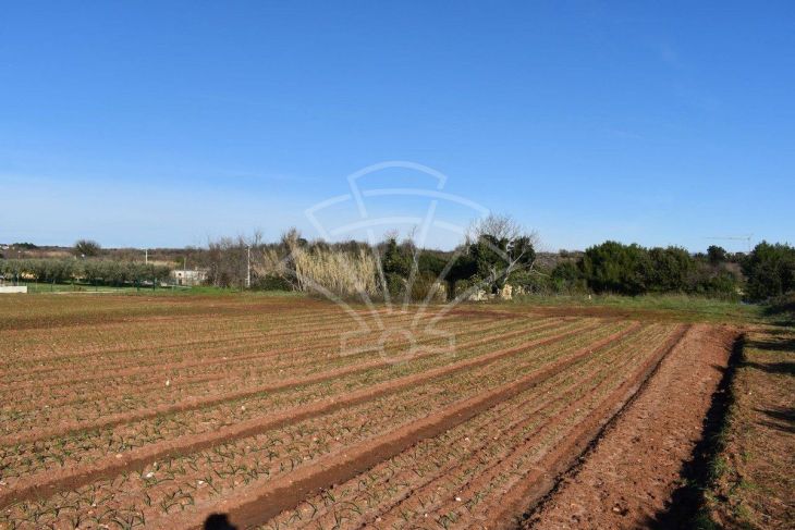 Građevinsko zemljište, Prodaja, Ližnjan, Ližnjan Građevinsko zemljište, Prodaja, Ližnjan, Ližnjan