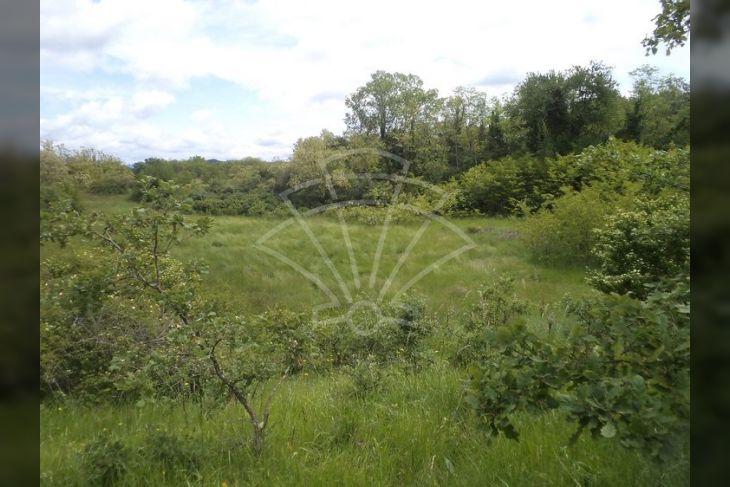 Poljoprivredno zemljište, Prodaja, Pazin - Okolica, Trviž Poljoprivredno zemljište, Prodaja, Pazin - Okolica, Trviž