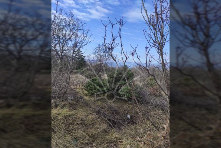 Poljoprivredno zemljište, Prodaja, Kraljevica, Šmrika Poljoprivredno zemljište, Prodaja, Kraljevica, Šmrika