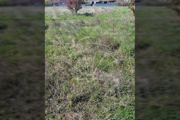 Građevinsko zemljište, Prodaja, Fažana, Valbandon Građevinsko zemljište, Prodaja, Fažana, Valbandon