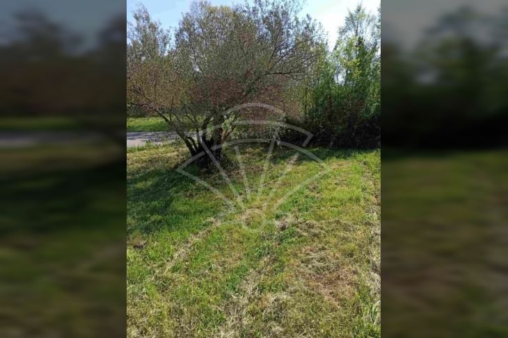 Građevinsko zemljište, Prodaja, Marčana, Pavićini Građevinsko zemljište, Prodaja, Marčana, Pavićini