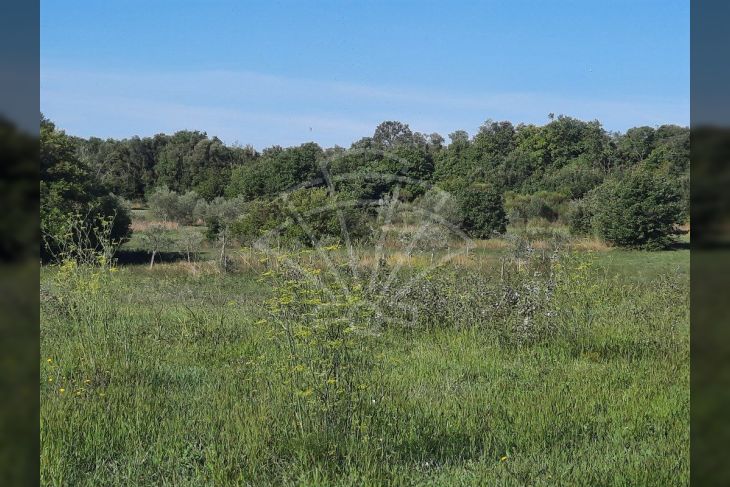 Građevinsko zemljište, Prodaja, Ližnjan, Valtura Građevinsko zemljište, Prodaja, Ližnjan, Valtura