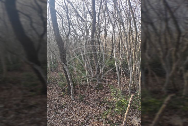 Poljoprivredno zemljište, Prodaja, Barban, Hrboki Poljoprivredno zemljište, Prodaja, Barban, Hrboki