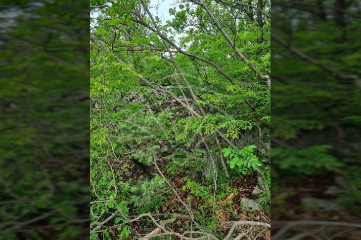 Građevinsko zemljište, Prodaja, Kraljevica, Šmrika Građevinsko zemljište, Prodaja, Kraljevica, Šmrika