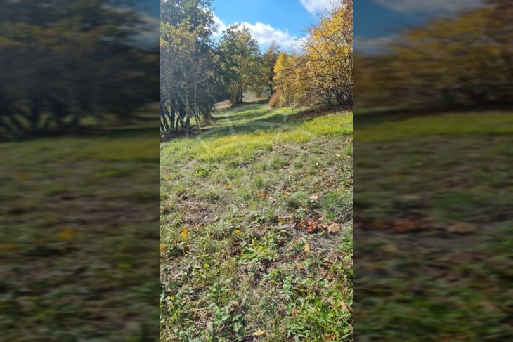 Građevinsko zemljište, Prodaja, Svetvinčenat, Režanci Građevinsko zemljište, Prodaja, Svetvinčenat, Režanci