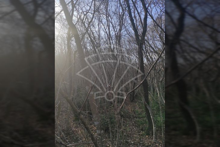 Poljoprivredno zemljište, Prodaja, Barban, Hrboki Poljoprivredno zemljište, Prodaja, Barban, Hrboki