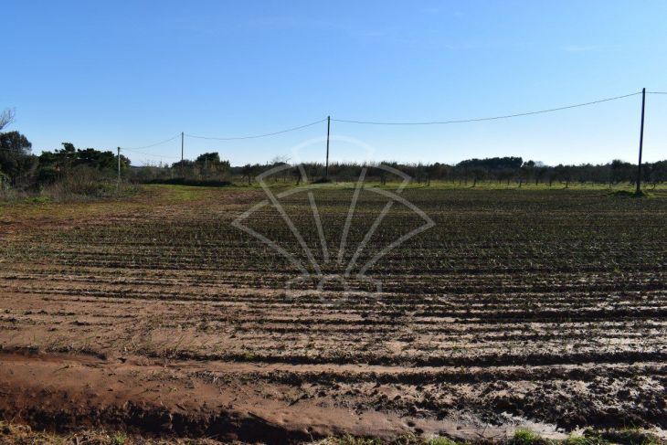 Građevinsko zemljište, Prodaja, Ližnjan, Ližnjan Građevinsko zemljište, Prodaja, Ližnjan, Ližnjan