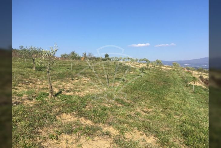 Poljoprivredno zemljište, Prodaja, Cerovlje, Previž Poljoprivredno zemljište, Prodaja, Cerovlje, Previž
