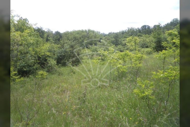 Poljoprivredno zemljište, Prodaja, Pazin - Okolica, Trviž Poljoprivredno zemljište, Prodaja, Pazin - Okolica, Trviž