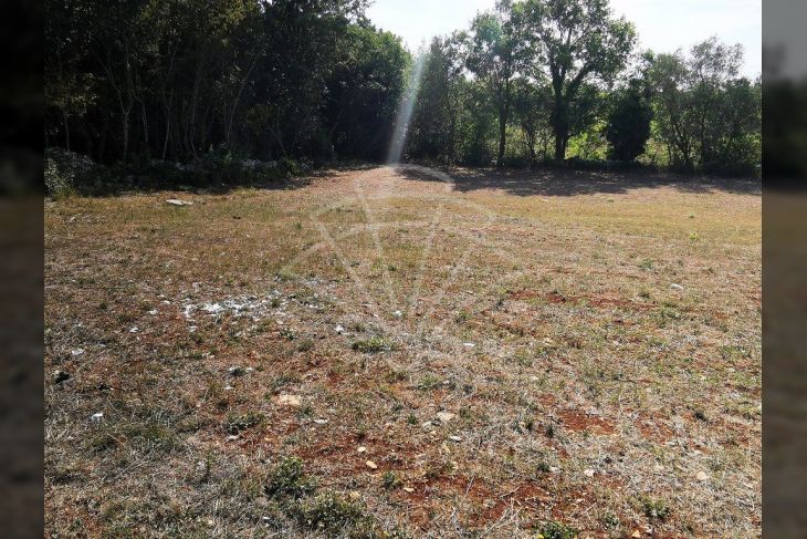 Poljoprivredno zemljište, Prodaja, Marčana, Peruški Poljoprivredno zemljište, Prodaja, Marčana, Peruški
