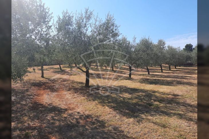 Građevinsko zemljište, Prodaja, Vodnjan, Barbariga Građevinsko zemljište, Prodaja, Vodnjan, Barbariga
