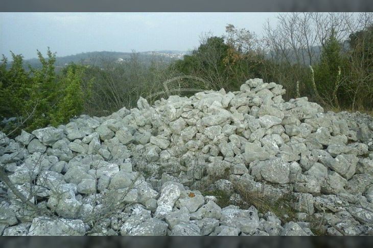 Poljoprivredno zemljište, Prodaja, Rovinj, Rovinjsko Selo Poljoprivredno zemljište, Prodaja, Rovinj, Rovinjsko Selo