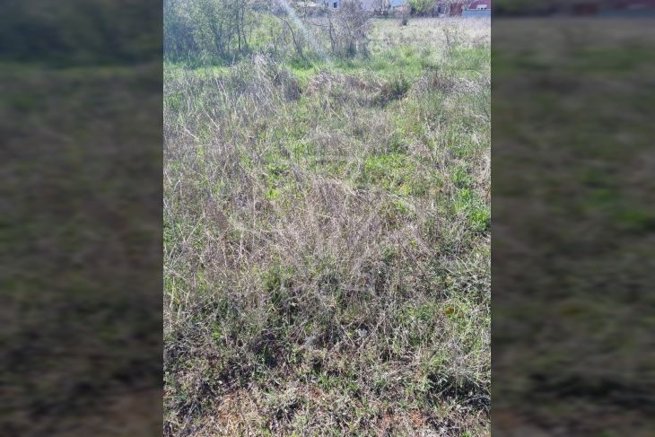 Građevinsko zemljište, Prodaja, Fažana, Valbandon Građevinsko zemljište, Prodaja, Fažana, Valbandon