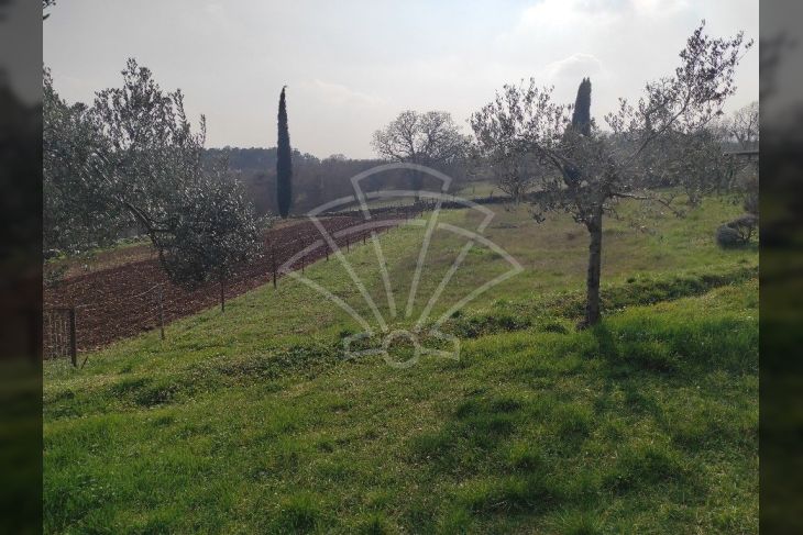 Građevinsko zemljište, Prodaja, Barban, Puntera Građevinsko zemljište, Prodaja, Barban, Puntera