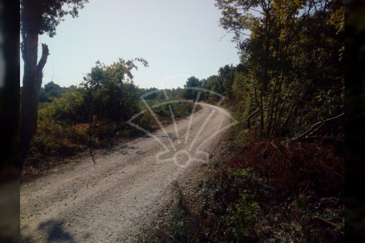 Poljoprivredno zemljište, Prodaja, Marčana, Loborika Poljoprivredno zemljište, Prodaja, Marčana, Loborika