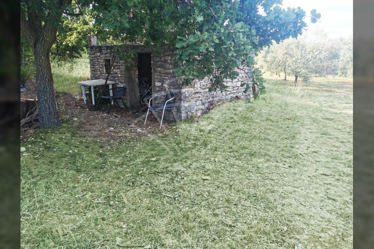Poljoprivredno zemljište, Prodaja, Marčana, Peruški Poljoprivredno zemljište, Prodaja, Marčana, Peruški