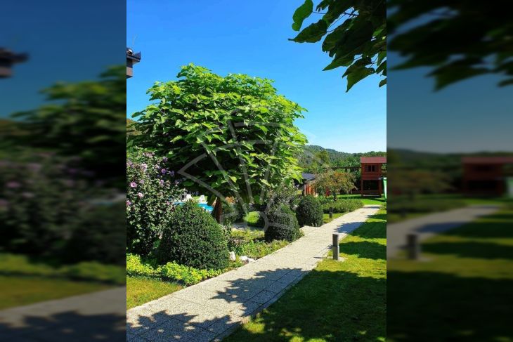 Samostojeća kuća, Prodaja, Bosiljevo, Spahići Samostojeća kuća, Prodaja, Bosiljevo, Spahići