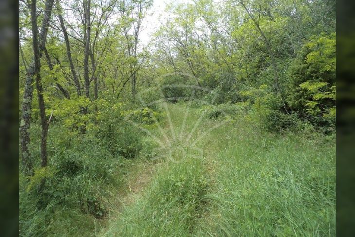 Poljoprivredno zemljište, Prodaja, Pazin - Okolica, Trviž Poljoprivredno zemljište, Prodaja, Pazin - Okolica, Trviž