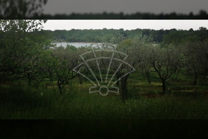 Građevinsko zemljište, Prodaja, Poreč, Poreč Građevinsko zemljište, Prodaja, Poreč, Poreč