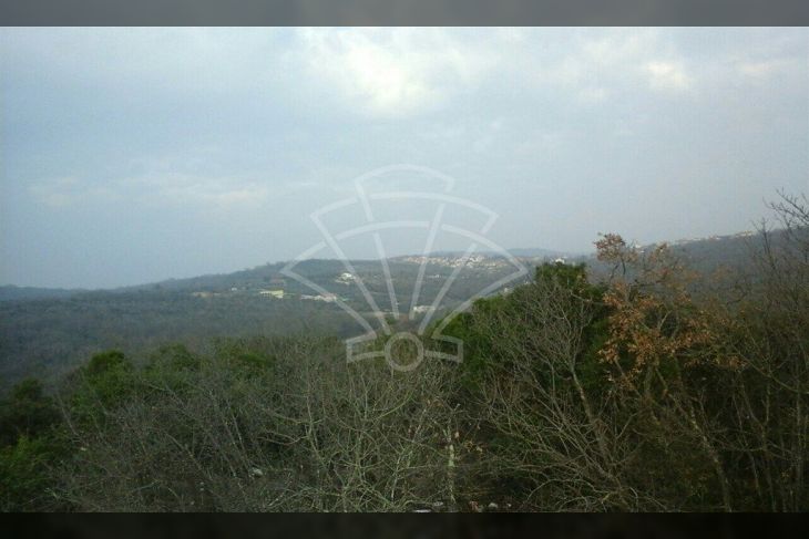 Poljoprivredno zemljište, Prodaja, Rovinj, Rovinjsko Selo Poljoprivredno zemljište, Prodaja, Rovinj, Rovinjsko Selo