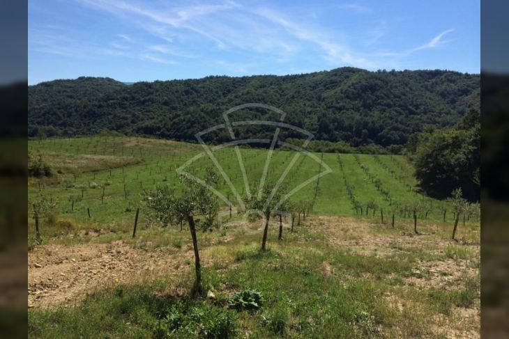 Poljoprivredno zemljište, Prodaja, Cerovlje, Previž Poljoprivredno zemljište, Prodaja, Cerovlje, Previž