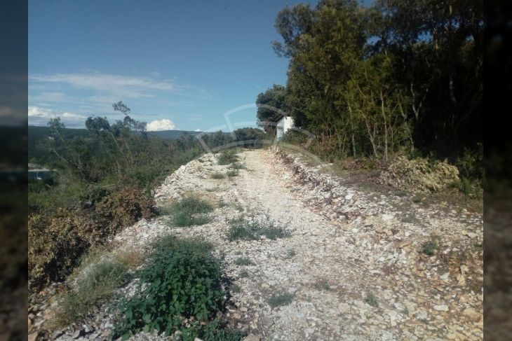 Poljoprivredno zemljište, Prodaja, Marčana, Peruški Poljoprivredno zemljište, Prodaja, Marčana, Peruški