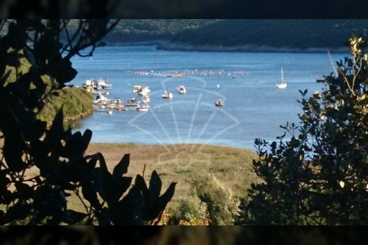 Poljoprivredno zemljište, Prodaja, Ližnjan, Valtura Poljoprivredno zemljište, Prodaja, Ližnjan, Valtura