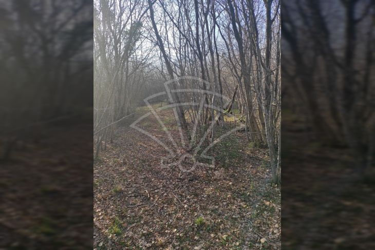 Poljoprivredno zemljište, Prodaja, Barban, Hrboki Poljoprivredno zemljište, Prodaja, Barban, Hrboki