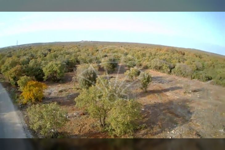 Poljoprivredno zemljište, Prodaja, Fažana, Fažana Poljoprivredno zemljište, Prodaja, Fažana, Fažana