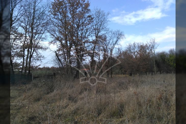 Poljoprivredno zemljište, Prodaja, Funtana, Funtana Poljoprivredno zemljište, Prodaja, Funtana, Funtana