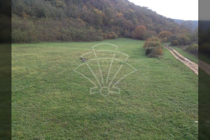 Poljoprivredno zemljište, Prodaja, Kanfanar, Kanfanar Poljoprivredno zemljište, Prodaja, Kanfanar, Kanfanar