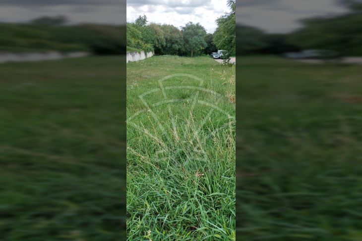 Građevinsko mješovito, Prodaja, Žminj, Žminj Građevinsko mješovito, Prodaja, Žminj, Žminj