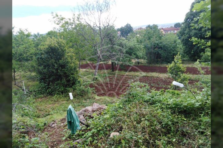 Poljoprivredno zemljište, Prodaja, Opatija - Okolica, Pobri Poljoprivredno zemljište, Prodaja, Opatija - Okolica, Pobri